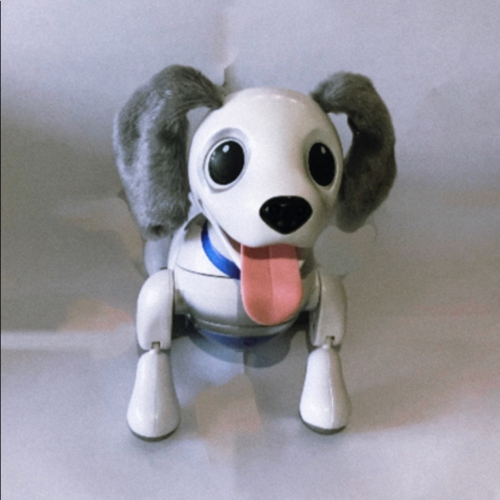 Zoomer Playful Pup